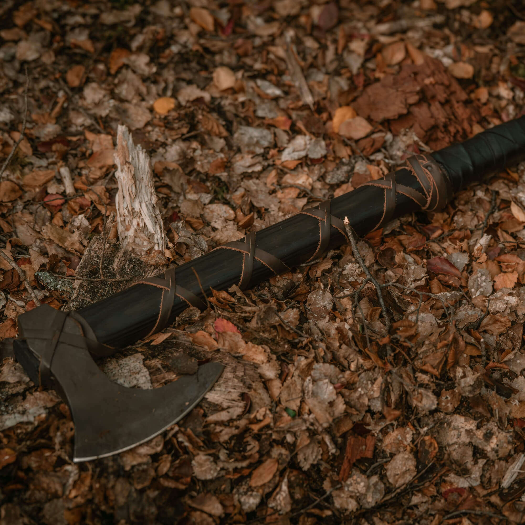 Handmade Ragnar Lothbrok Black Axe