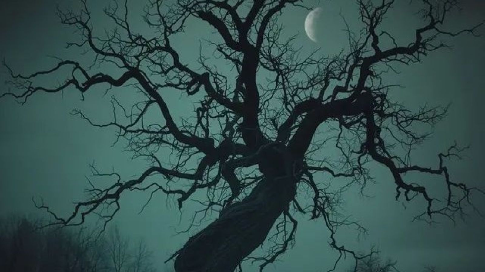 The "Värdträd": Why Every Viking Farm Had a Guardian Tree