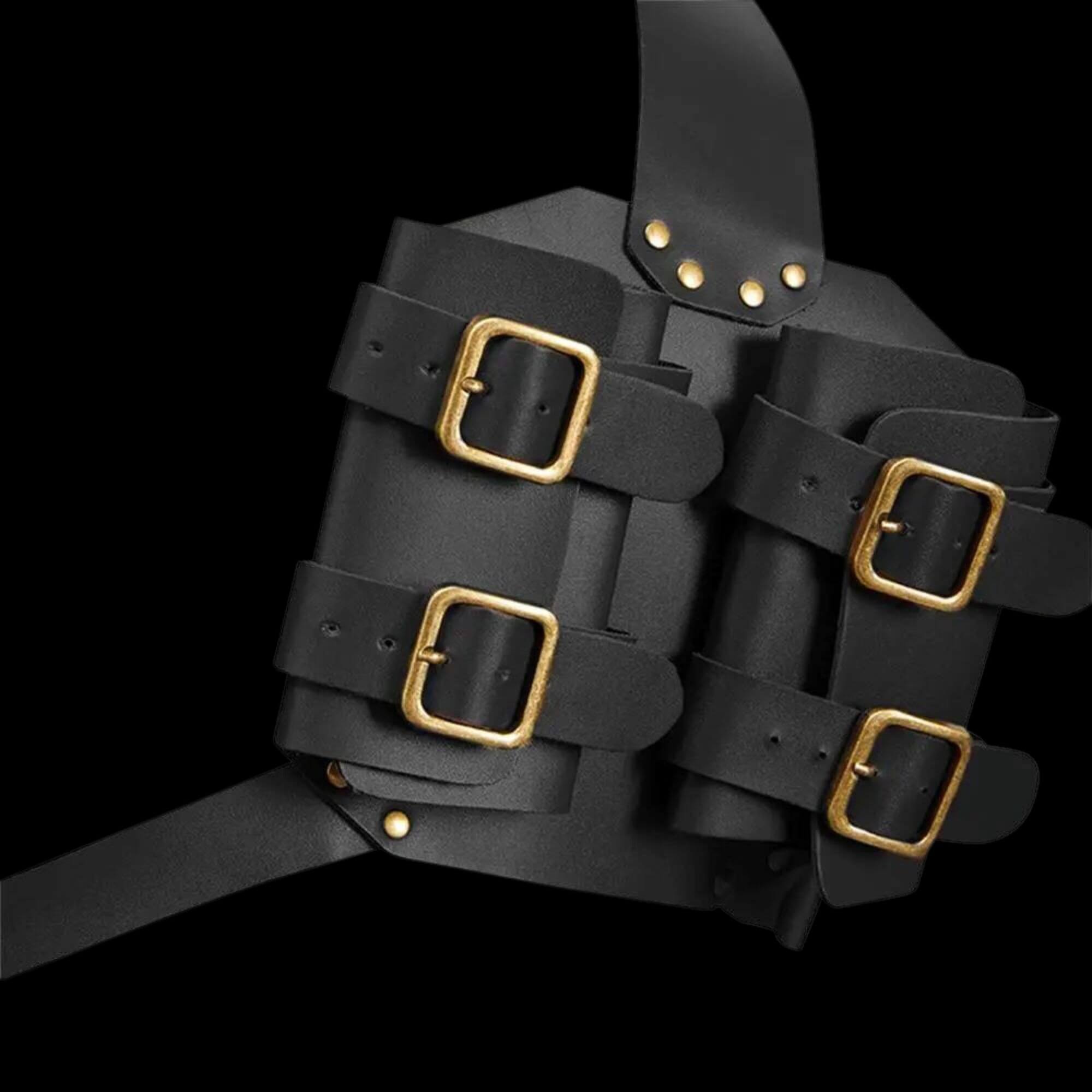 Side Back Double Sword Harness