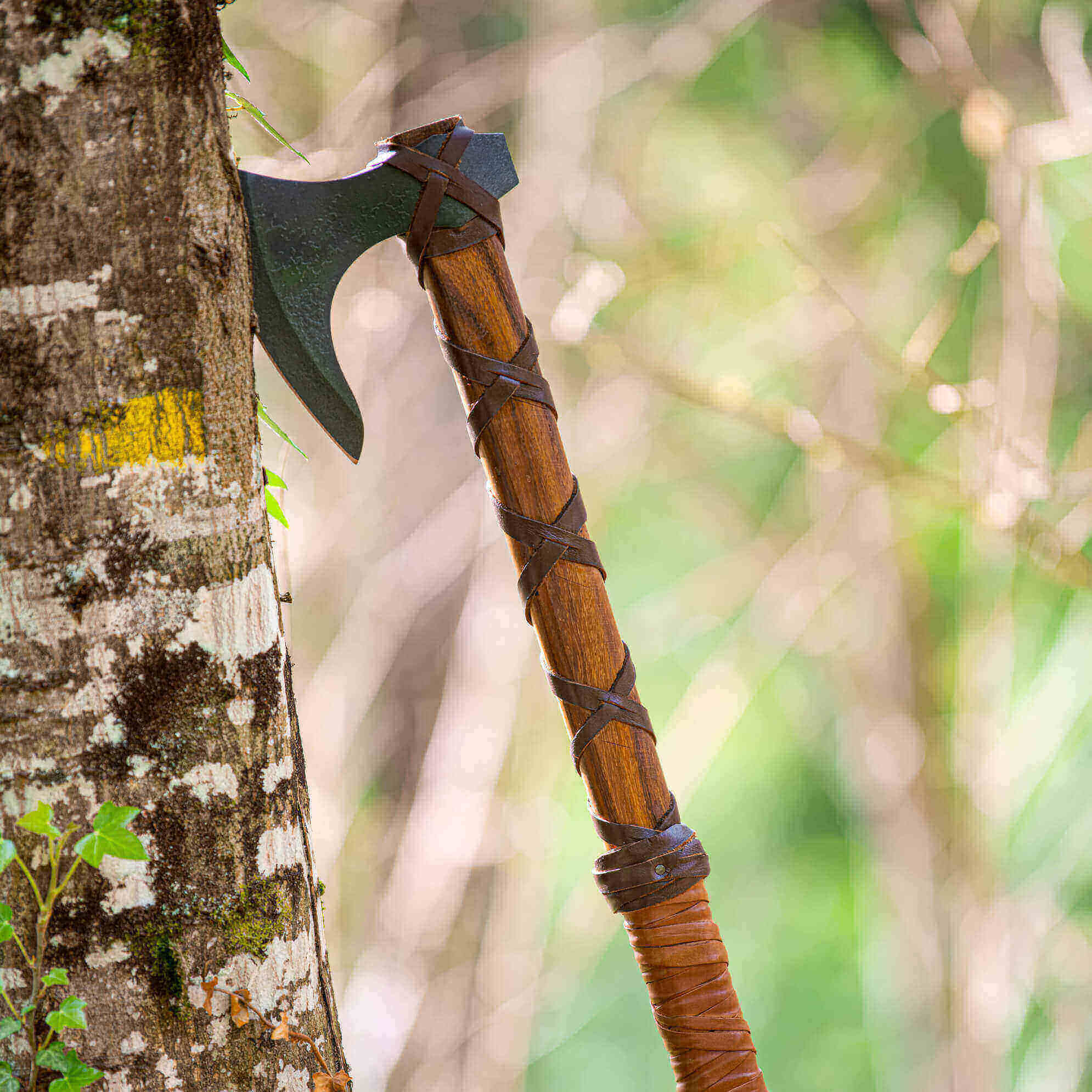 Ragnar Lothbrok Viking Axe